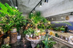 「樹園藝」創辦人陳妍卉：從田尾園藝世家到打造台灣植物美學新典範