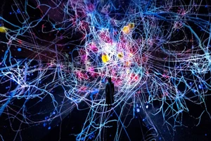 「京都teamLab」2025開幕：日本最大沉浸式數位藝術展館門票資訊、作品介紹完整攻略