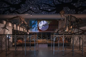 震後重生：專訪「跳浪藝術節」如何透過創作為花蓮療傷？