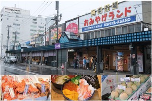 【札幌二條市場必吃】2025二條市場美食必買推薦！帝王蟹海鮮丼水果吃透透