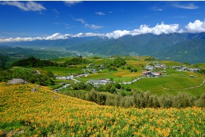 【花蓮】2025六十石山金針花海：花季時間、交通管制＆附近景點美食一日遊