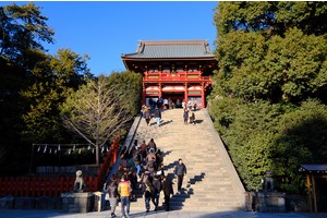 【鎌倉】鶴岡八幡宮：日本三大八幡宮！供奉武士守護神，櫻花超漂亮必去