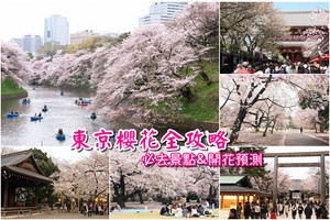 【東京櫻花景點】2025必去東京賞櫻景點＆櫻花季預測總整理(火熱更新)