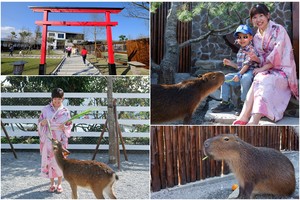 【宜蘭】張美阿嬤農場：餵水豚君、梅花鹿，還能穿和服！預約門票＆附近景點彙整