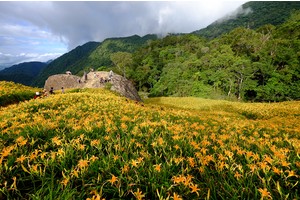 【花蓮】2025赤科山金針花海：最新花況、交通管制、民宿＆附近景點一日遊