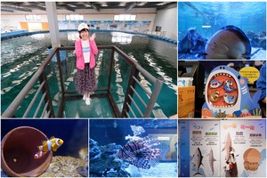 【宜蘭】金車生技水產養殖研發中心：餵鯊魚＆吃蝦蝦！門票交通餐廳彙整