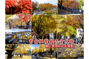 【2025韓國楓葉】Top10首爾楓葉銀杏景點＆韓國賞楓時間預測情報(火熱更新)