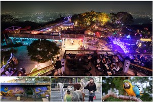【南投】星月天空猴探井景觀餐廳：草泥馬＆百萬夜景超好玩！門票菜單彙整