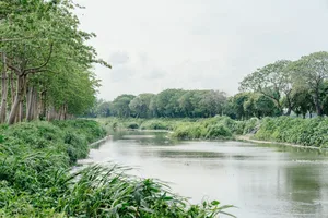 重新回到生活中的東螺溪：由下而上的水域治理行動