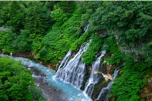 【北海道】白鬚瀑布：少數潛流瀑布！夜間點燈好夢幻，白金青池源頭必去