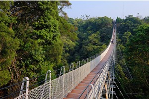 【南投】猴探井天空之橋：好賺錢的微笑天梯！門票停車＆附近景點彙整