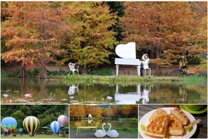 【苗栗南庄】雲水度假森林園區 (雲水溫泉度假村)：落羽松＆露營車超夯