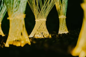 嘉義化身會呼吸的夜之森林！2025《森林夜遊》9個場域展演，探詢嘉義城市的〈光的藏身處〉