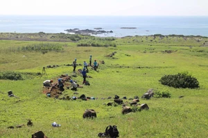 東吉嶼手作步道：一條用雙手打造的島嶼記憶，重現被遺忘的「澎湖尾」風華