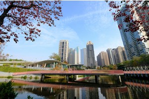 【台中】秋紅谷廣場(景觀生態公園)：豪宅中的綠洲！美食景點停車場攻略