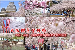 【大阪櫻花景點】2025必去關西大阪賞櫻景點＆櫻花季時間預測總整理