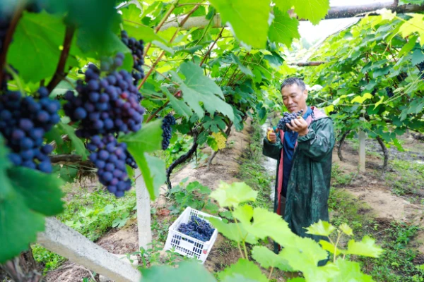 截图20251113103728