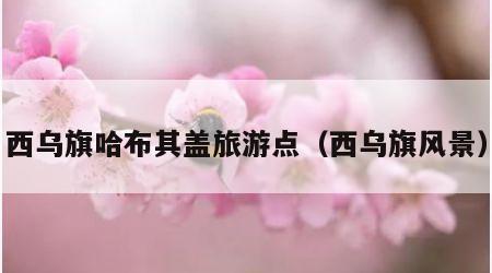 西乌旗哈布其盖旅游点(西乌旗风景)