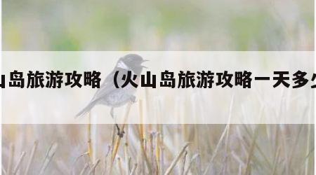 火山岛旅游攻略(火山岛旅游攻略一天多少钱)
