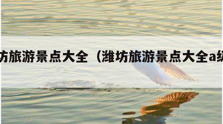 潍坊旅游景点大全(潍坊旅游景点大全a级景区)