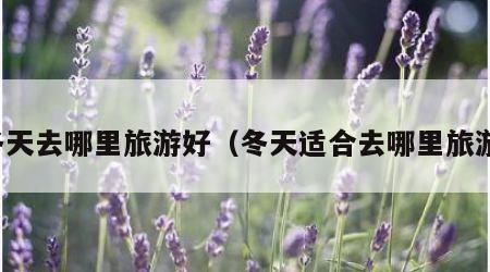 冬天去哪里旅游好(冬天适合去哪里旅游)