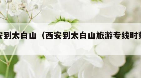 西安到太白山（西安到太白山旅游专线时刻表）