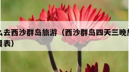 怎么去西沙群岛旅游(西沙群岛四天三晚旅游价目表)