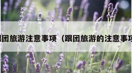 跟团旅游注意事项(跟团旅游的注意事项)