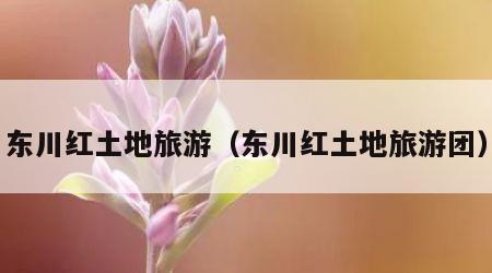 东川红土地旅游（东川红土地旅游团）