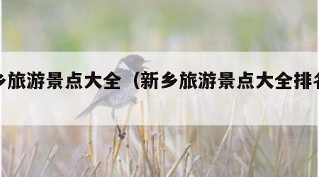 新乡旅游景点大全(新乡旅游景点大全排名榜5A)