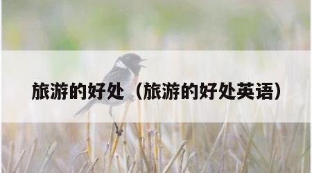 旅游的好处(旅游的好处英语)