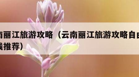 云南丽江旅游攻略(云南丽江旅游攻略自由行路线推荐)