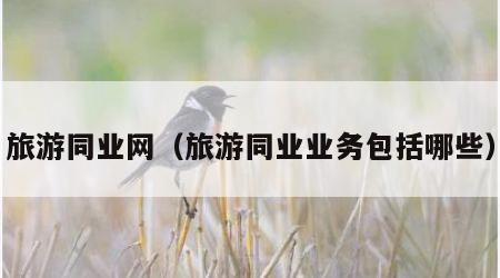 旅游同业网(旅游同业业务包括哪些)