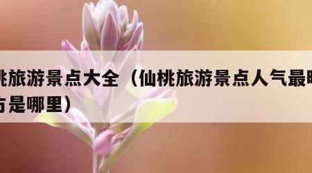 仙桃旅游景点大全(仙桃旅游景点人气最旺的地方是哪里)