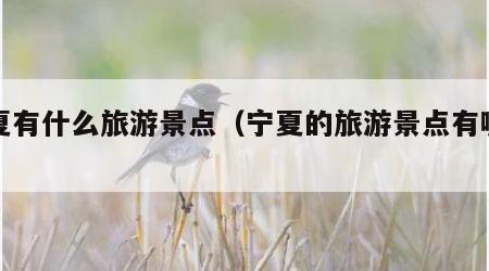 宁夏有什么旅游景点(宁夏的旅游景点有哪些)