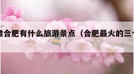 安徽合肥有什么旅游景点(合肥最火的三个地方)