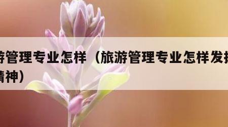 旅游管理专业怎样(旅游管理专业怎样发扬劳模精神)