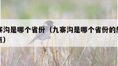 九寨沟是哪个省份(九寨沟是哪个省份的旅游景点)