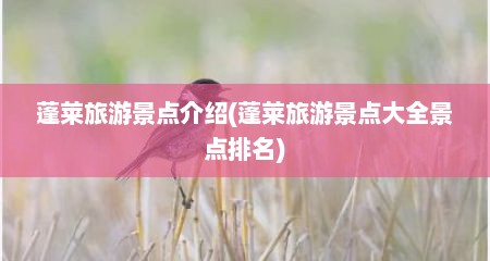 蓬莱旅游景点介绍(蓬莱旅游景点大全景点排名)