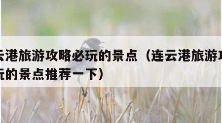 连云港旅游攻略必玩的景点(连云港旅游攻略必玩的景点推荐一下)