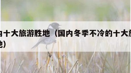 国内十大旅游胜地(国内冬季不冷的十大旅游胜地)