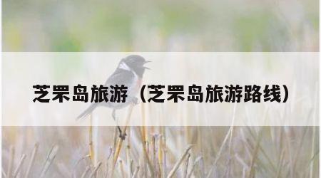 芝罘岛旅游（芝罘岛旅游路线）