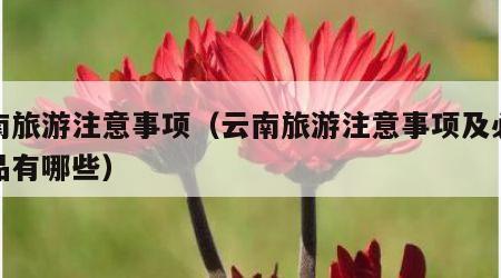 云南旅游注意事项(云南旅游注意事项及必备物品有哪些)