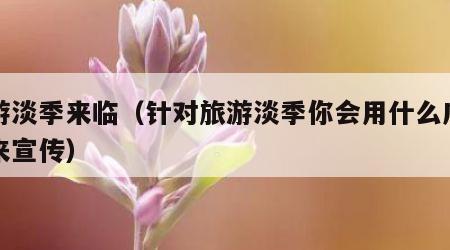 旅游淡季来临(针对旅游淡季你会用什么广告语来宣传)