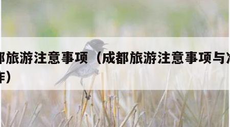 成都旅游注意事项(成都旅游注意事项与准备工作)