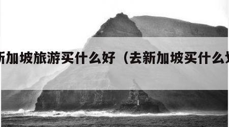 去新加坡旅游买什么好(去新加坡买什么划算)