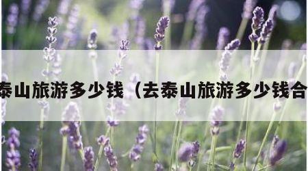 去泰山旅游多少钱(去泰山旅游多少钱合适)