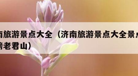 济南旅游景点大全（济南旅游景点大全景点排名榜老君山）