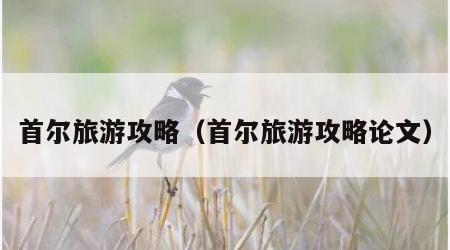 首尔旅游攻略(首尔旅游攻略论文)