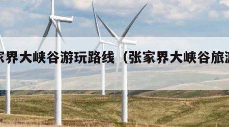 张家界大峡谷游玩路线（张家界大峡谷旅游路线）